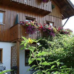 Ferienwohnung 2 - Süd-West
